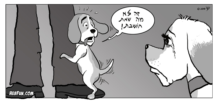 כלב שובב - קומיקס